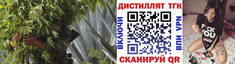 blacksprut tor  Сосновый Бор  Дистиллят ТГК THC oil 