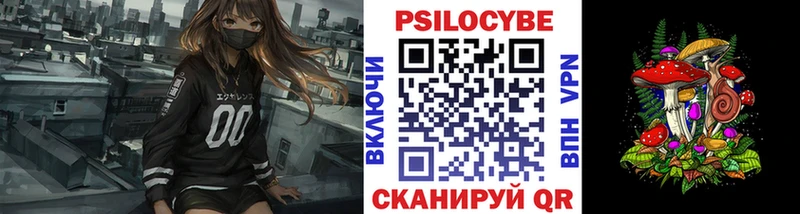 Галлюциногенные грибы Psilocybine cubensis  Сосновый Бор 