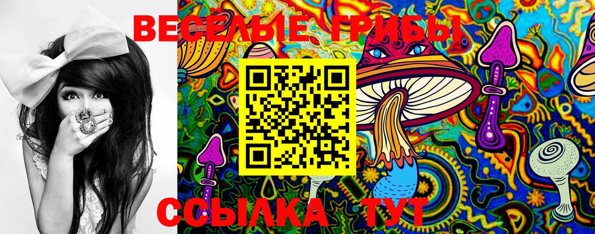 Псилоцибиновые грибы MAGIC MUSHROOMS Сосновый Бор