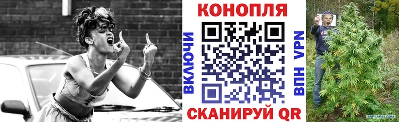 Канабис план  где можно купить   Сосновый Бор 